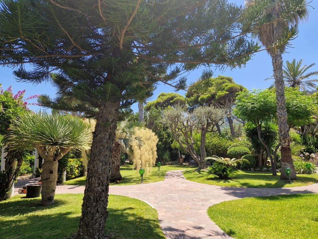 hotel-terme-tritone-spa-ischia (23)