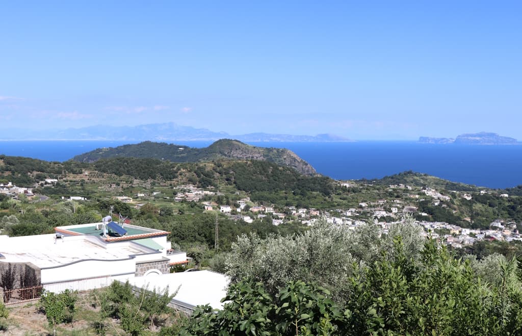 ischia-insel-pozzuoli-napoli (4)