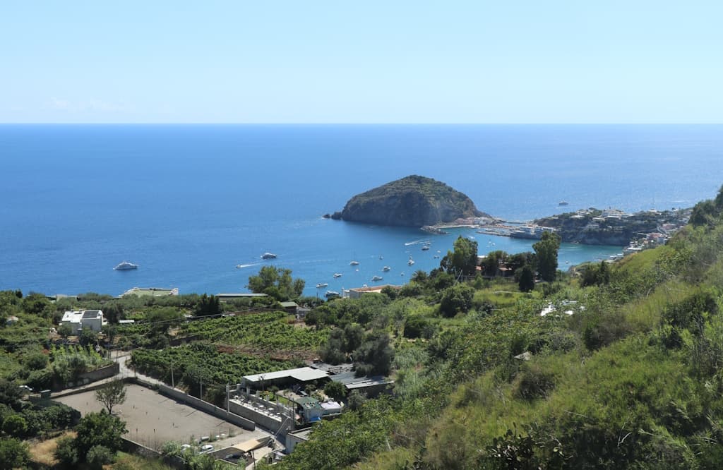 ischia-insel-pozzuoli-napoli (2)