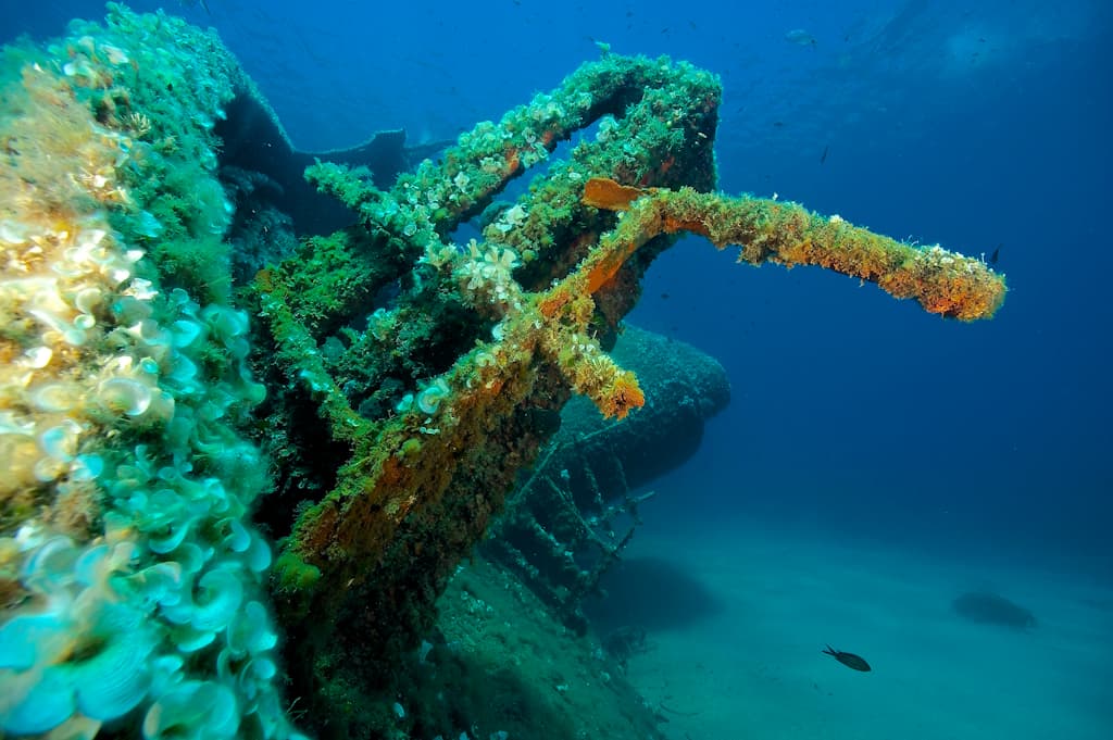 spiro-sub-diving-elba-tauchen (6)