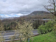 Zwischen Florenz und Bologna verläuft die alte A1-Panoramastrecke – eine stille, kurvige Route mit Ausblicken über die toskanischen Hügel. (Foto: © Bastian Glumm)