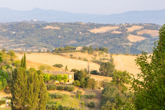 Italien vereint kulinarische Vielfalt mit nachhaltiger Landwirtschaft. Als Vorreiter der Öko-Bewegung zeigt das Land, wie Tradition und Innovation harmonieren können.. (Foto: © Being Organic in EU)