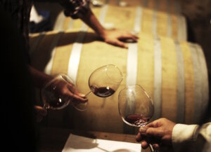 Besonders am Ostufer des Gardasees, wo in Bardolino die Strada del Vino Bardolino beginnt, reiht sich ein Weingut ans nächste – etwa 50 an der Zahl. (Foto: © Lagodigardacamping)
