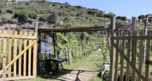 Entdecke das echte Italien: Bauernhöfe, Verkostungen und kulinarische Erlebnisse fernab der Touristenpfade. Authentisch, herzlich. (Foto: © Bastian Glumm)