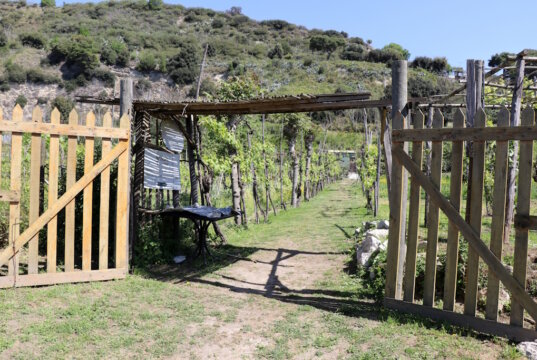 Entdecke das echte Italien: Bauernhöfe, Verkostungen und kulinarische Erlebnisse fernab der Touristenpfade. Authentisch, herzlich. (Foto: © Bastian Glumm)