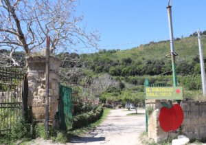 Der Agriturismo hilft dabei, alte Rezepte und traditionelle Anbaumethoden zu bewahren und schützt somit auch die wunderschönen Landschaften Italiens. (Foto: © Bastian Glumm)