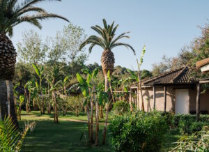 Wer Familie und Beruf unter einen süditalienischen Himmel bringen will, ist im Baia del Sole Resort genau richtig. (Foto: © Tommaso Pugliese)