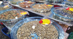 Muscheln und andere Meeresfrüchte auf einem Markt in Kampanien. Ihr Verzehr steht derzeit im Fokus der Untersuchungen zu den Hepatitis-A-Fällen in der Region um Neapel. (Foto: © Bastian Glumm)