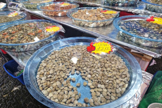 Muscheln und andere Meeresfrüchte auf einem Markt in Kampanien. Ihr Verzehr steht derzeit im Fokus der Untersuchungen zu den Hepatitis-A-Fällen in der Region um Neapel. (Foto: © Bastian Glumm)