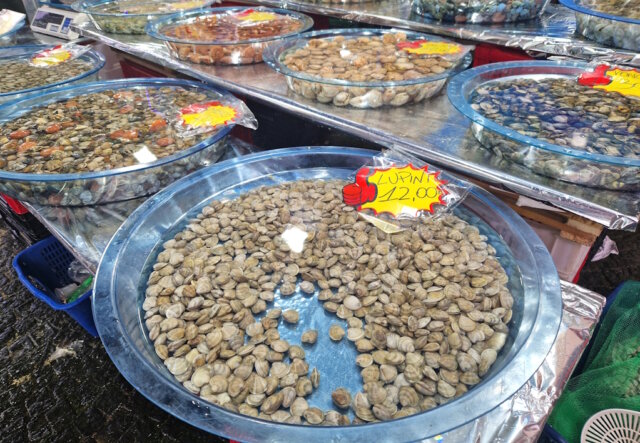 meeresfruechte-frutti-di-mare-pozzuoli Muscheln und andere Meeresfrüchte auf einem Markt in Kampanien. Ihr Verzehr steht derzeit im Fokus der Untersuchungen zu den Hepatitis-A-Fällen in der Region um Neapel. (Foto: © Bastian Glumm)