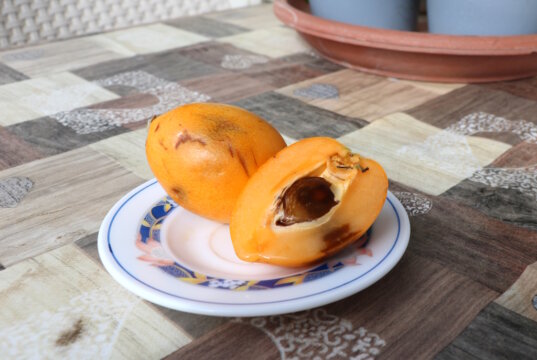 Vor Kurzem habe ich eine neue Frucht entdeckt – den Nispero. Und das geschah ganz gemütlich bei einem Besuch bei meiner Mutter. (Foto: © Svitlana Glumm)