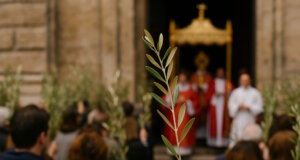 Der Palmsonntag in Italien ist nicht nur ein kirchlicher Feiertag vor Ostern. Es ist ein Tag, an dem Olivenzweige zu Symbolen des Friedens werden. (Bild: Open AI)