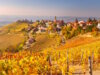Die Hügel der Langhe im Piemont zeigen im Herbst ihre ganze Pracht – goldene Weinreben, ruhige Dörfer und der Duft von Trauben und Trüffeln liegen in der Luft. (Foto: © Pixelshop/Adobe Stock)