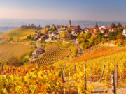Die Hügel der Langhe im Piemont zeigen im Herbst ihre ganze Pracht – goldene Weinreben, ruhige Dörfer und der Duft von Trauben und Trüffeln liegen in der Luft. (Foto: © Pixelshop/Adobe Stock)