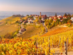 Die Hügel der Langhe im Piemont zeigen im Herbst ihre ganze Pracht – goldene Weinreben, ruhige Dörfer und der Duft von Trauben und Trüffeln liegen in der Luft. (Foto: © Pixelshop/Adobe Stock)