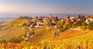 Die Hügel der Langhe im Piemont zeigen im Herbst ihre ganze Pracht – goldene Weinreben, ruhige Dörfer und der Duft von Trauben und Trüffeln liegen in der Luft. (Foto: © Pixelshop/Adobe Stock)