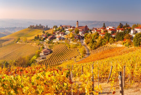 Die Hügel der Langhe im Piemont zeigen im Herbst ihre ganze Pracht – goldene Weinreben, ruhige Dörfer und der Duft von Trauben und Trüffeln liegen in der Luft. (Foto: © Pixelshop/Adobe Stock)