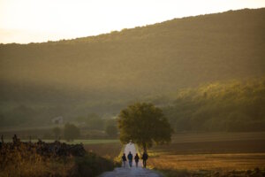 Unterwegs durch die weiten Landschaften der Toskana: Wanderwege führen durch ruhige Täler und sanfte Hügel, fernab der bekannten Routen entfaltet sich die Region oft am intensivsten. (Foto: © Mariollorca.com / Toscana Promozione Turistica)