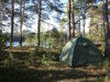 Wildcampen mitten in der Natur: In Italien ist das zwar verlockend, aber grundsätzlich verboten – Verstöße können mit hohen Bußgeldern geahndet werden. (Bild von Reijo Telaranta auf Pixabay)